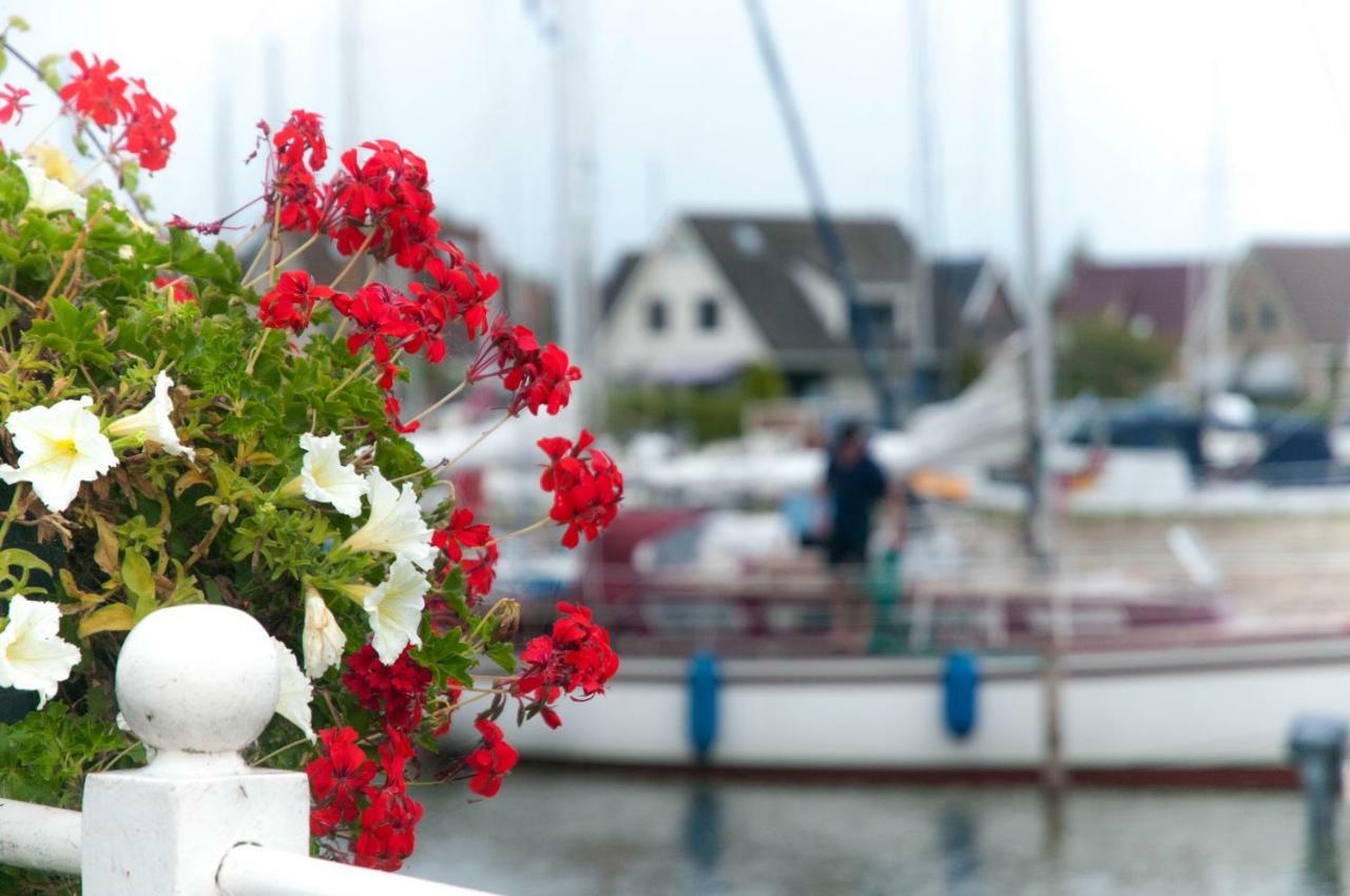Heerlijk Huis Aan Het Ijsselmeer 스타보렌 외부 사진