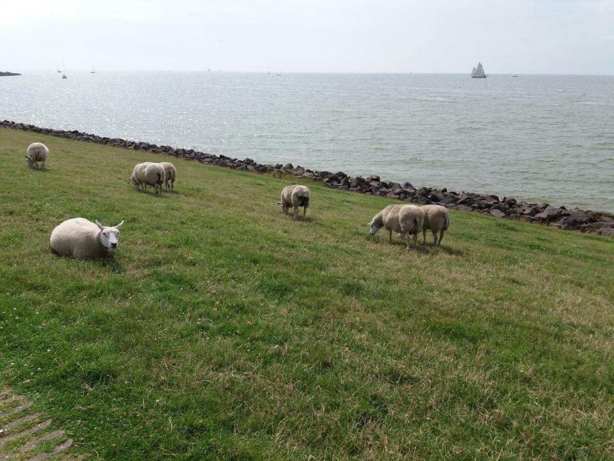 Heerlijk Huis Aan Het Ijsselmeer 스타보렌 외부 사진