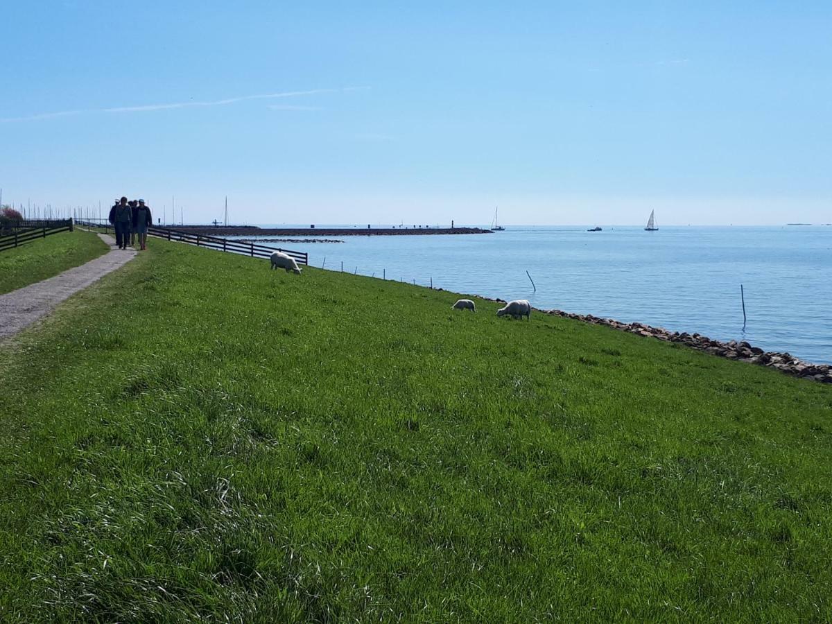 Heerlijk Huis Aan Het Ijsselmeer 스타보렌 외부 사진